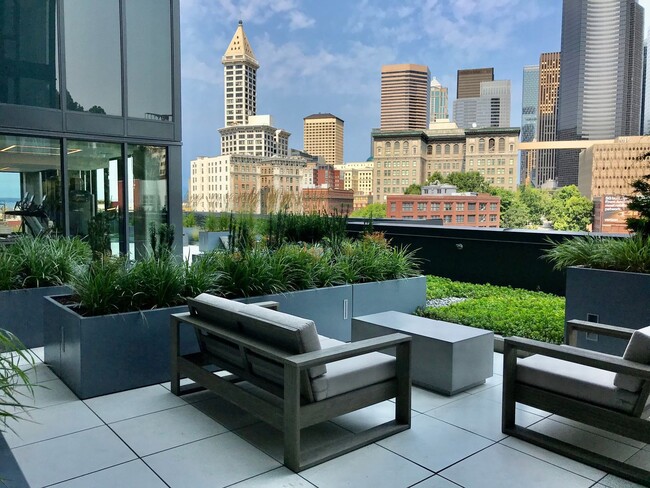 Building Photo - Brand New One Bedroom for Rent at Fabulous...