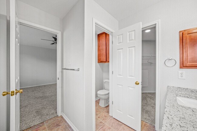 Building Photo - Alamo Ranch Rental!