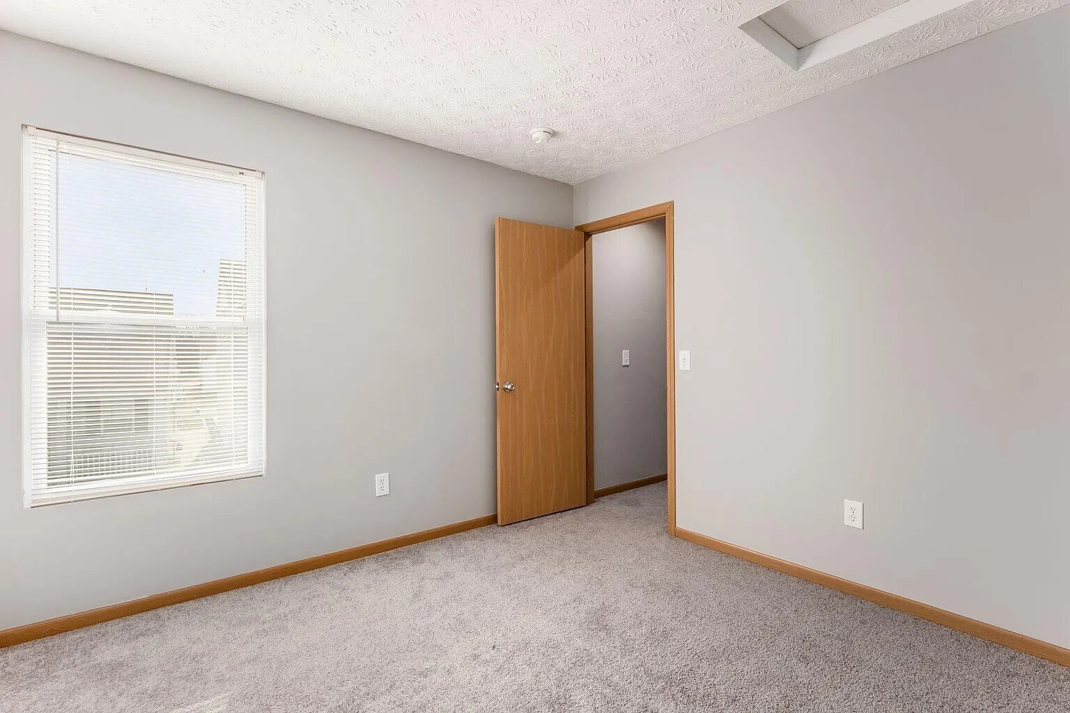 Building Photo - 6168 Broad Stripes Ave