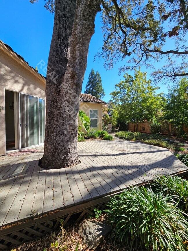 Building Photo - 4-Bedroom Single-Story Home in Briggs Ranch