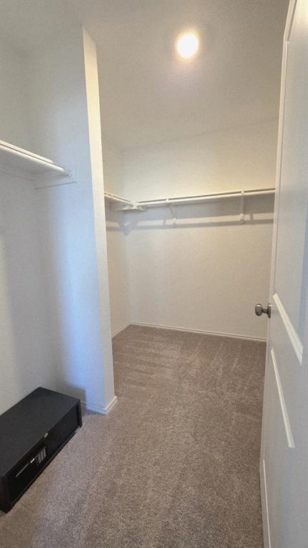 Building Photo - 2520 Four Waters Lp