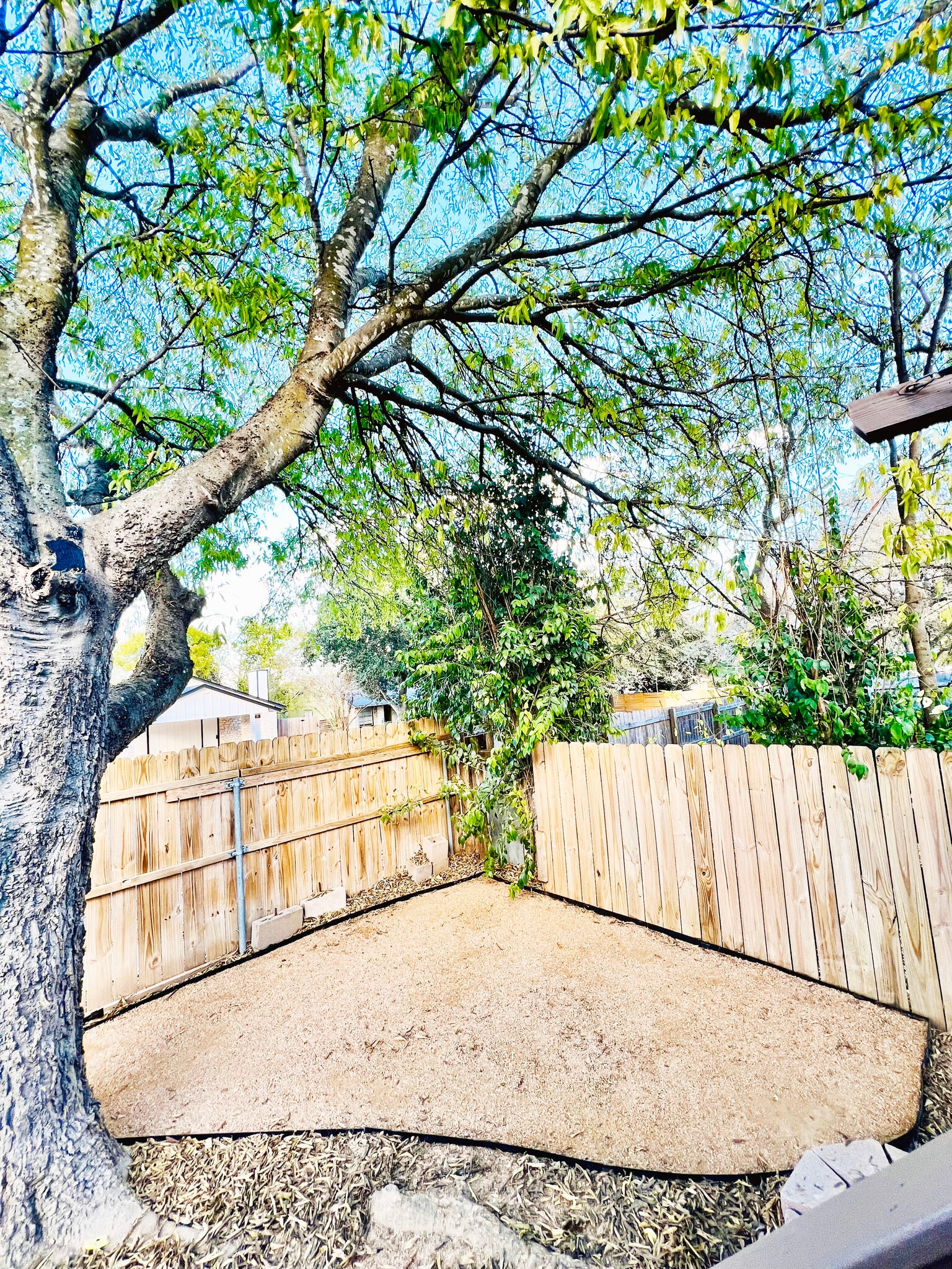 Building Photo - 920 Sirocco Dr