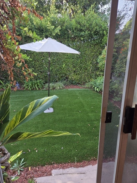 Back yard - 1009 Havenhurst Dr