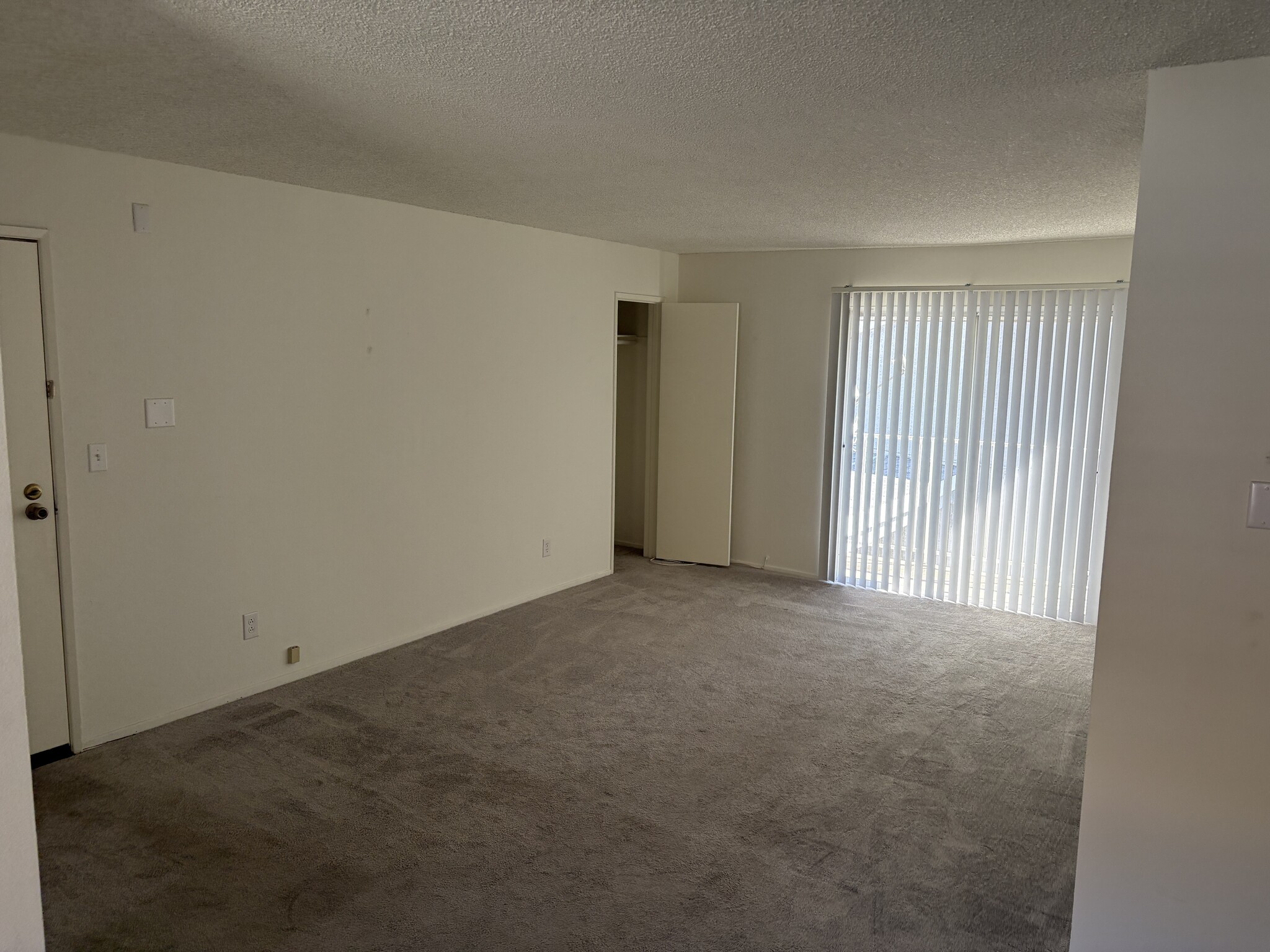 Livingroom with coat closet and patio slider - 18071 Beneda Ln