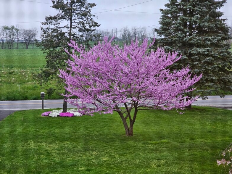 Building Photo - 2794 N Cherry Ln