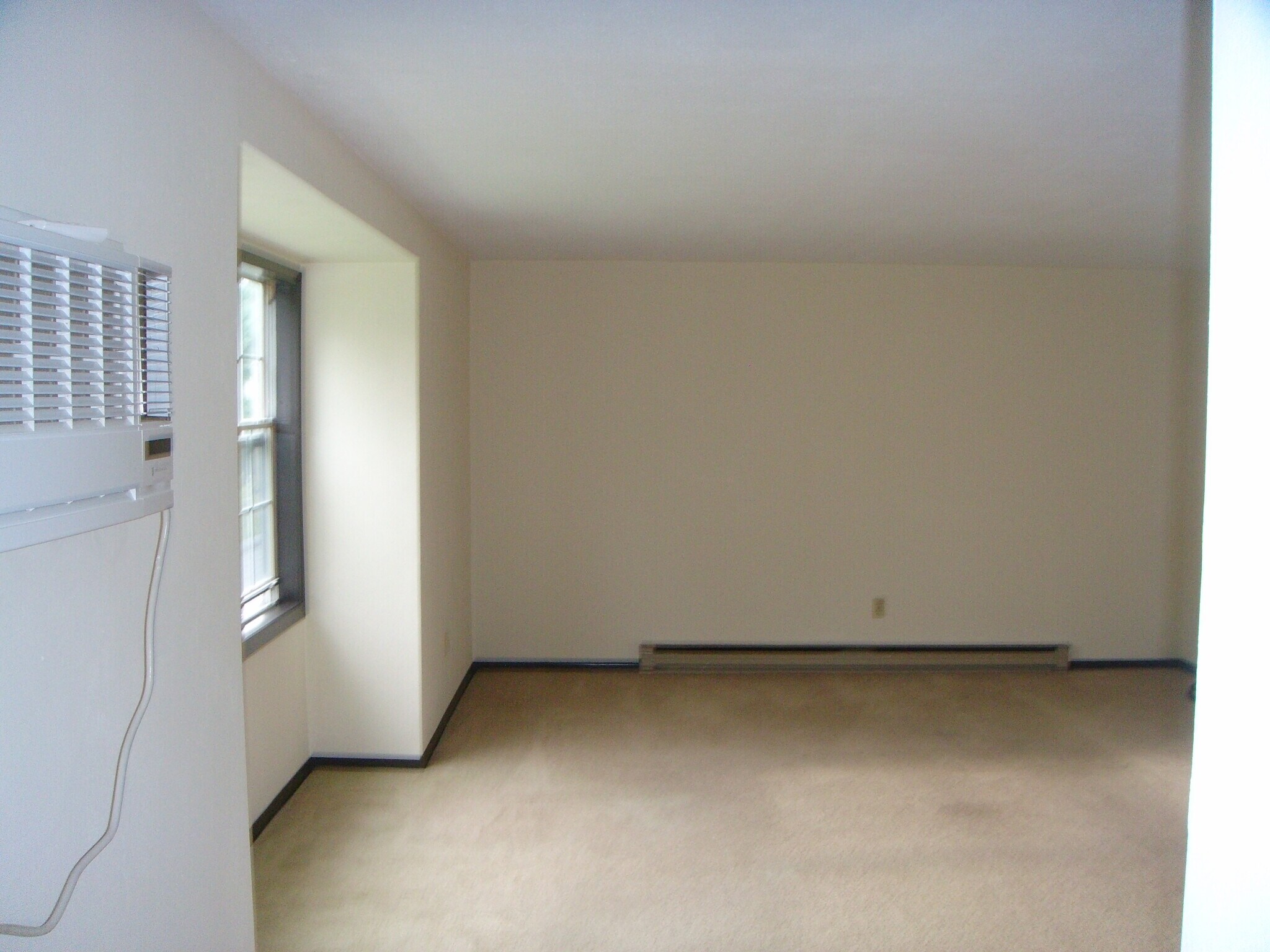 part of livingroom - 27 Woodhill Ct