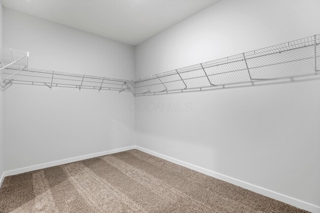 Building Photo - 539 Darliene Dr
