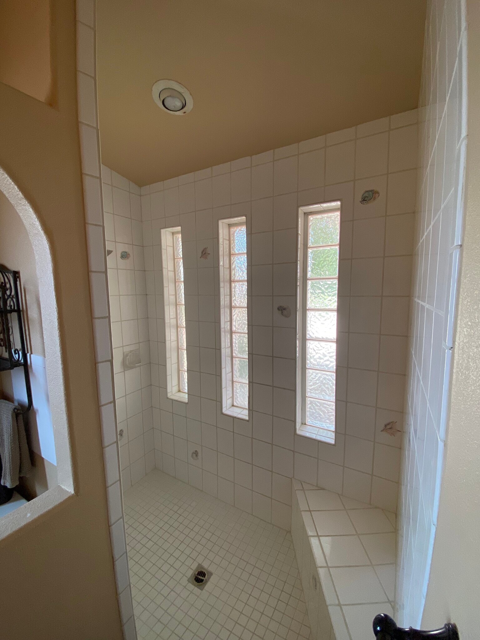 master shower - 3640 Vega Dr
