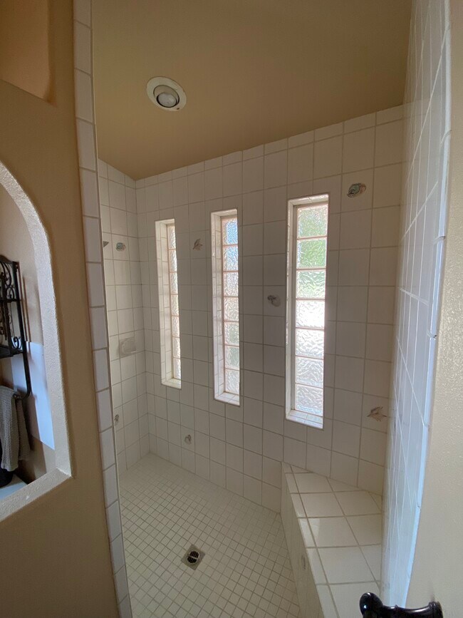 master shower - 3640 Vega Dr