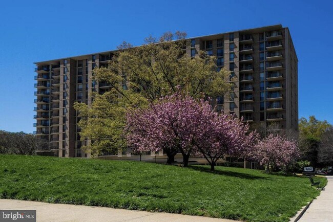 Building Photo - 4600 S Four Mile Run Dr