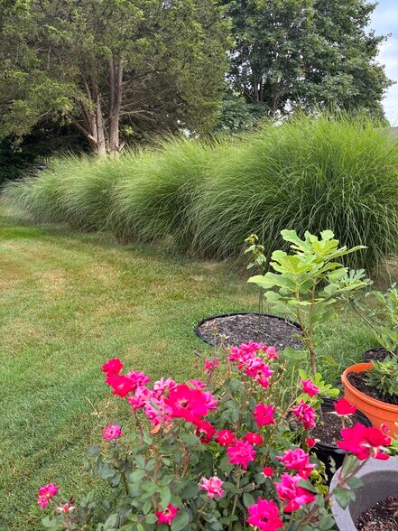 beautiful landscape - 20 N Bridebrook Rd