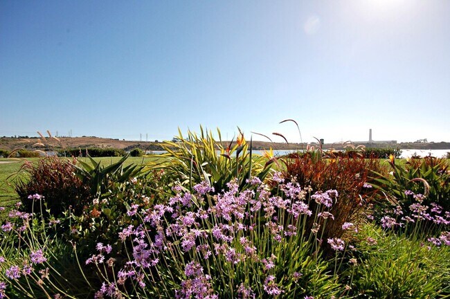 Building Photo - Amazing Location Home in Carlsbad with Lag...