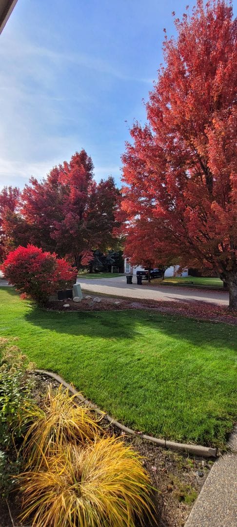 Building Photo - CDA Place Neighborhood- 4 bed with basement, cul de sac