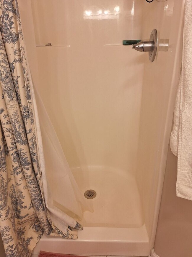 Building Photo - Walking distance to UT/ Very short walk