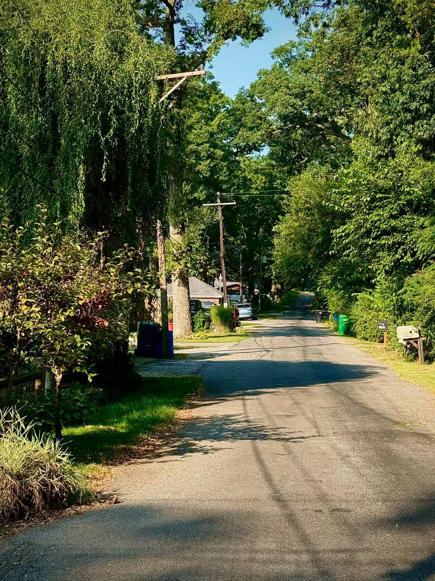 Building Photo - 56366 Basswood Rd