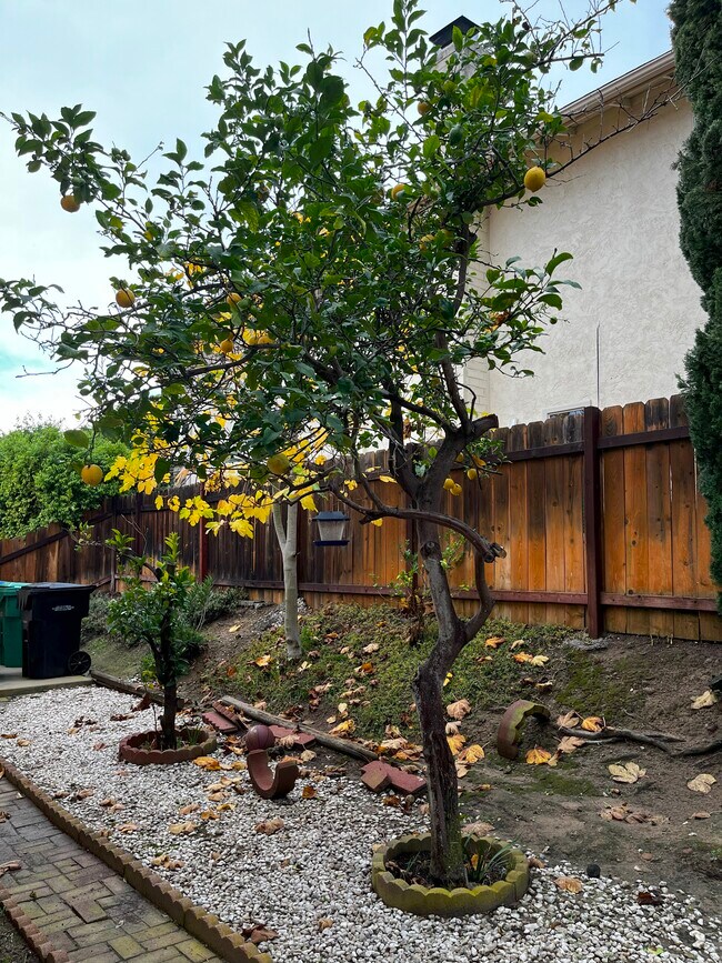 Building Photo - 5977 Agee St