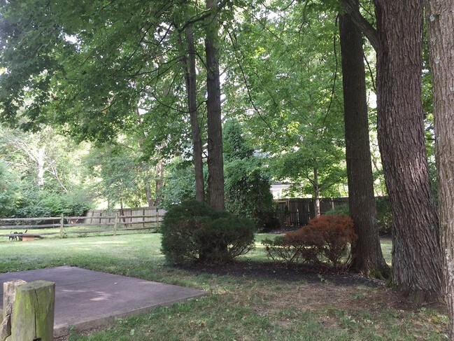 back yard - 1343 Sprucewood Ct