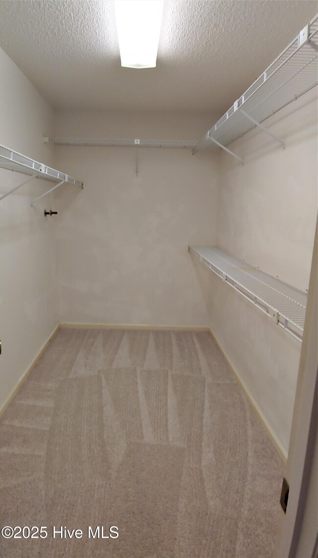 Building Photo - 456 Egret Dr