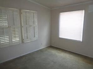 Building Photo - 10207 Elderberry Park Ln