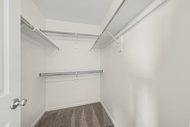 Building Photo - 4316 Paintbrush Dr