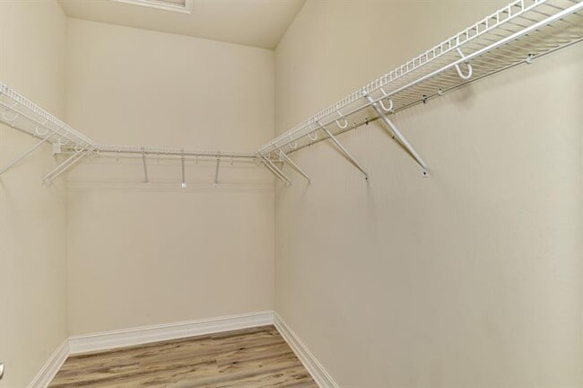 Building Photo - 4417 Conchfish Ln