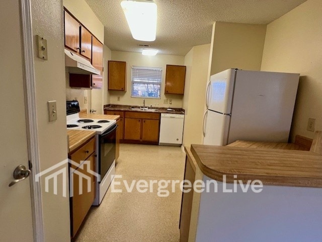 Building Photo - 108 Morning Song Ct