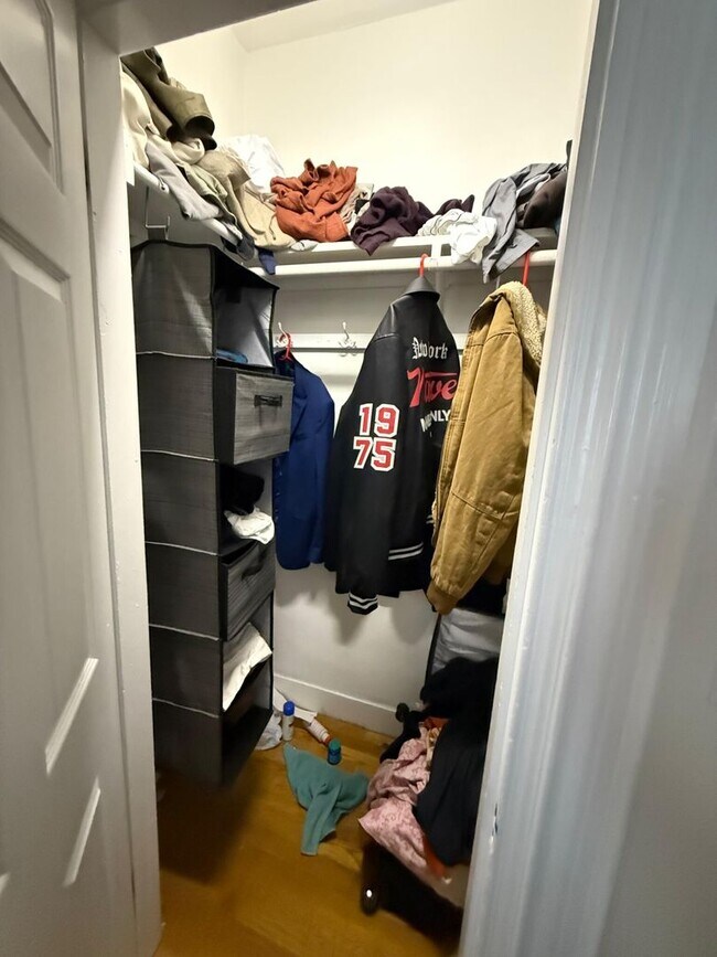 Building Photo - Gorgeous, Affordable and Student Friendly Apartment Near T!   Perfect for BU students on a budget