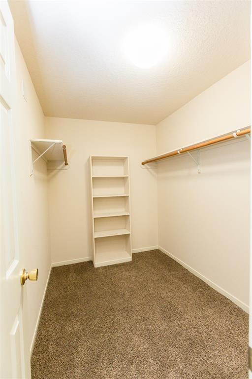 Building Photo - 2659 Cypressvine Dr