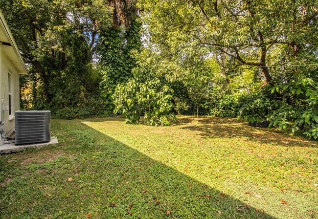 Backyard - 1600 E Hooker St