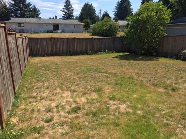 Back Yard - 22815 86th Pl W
