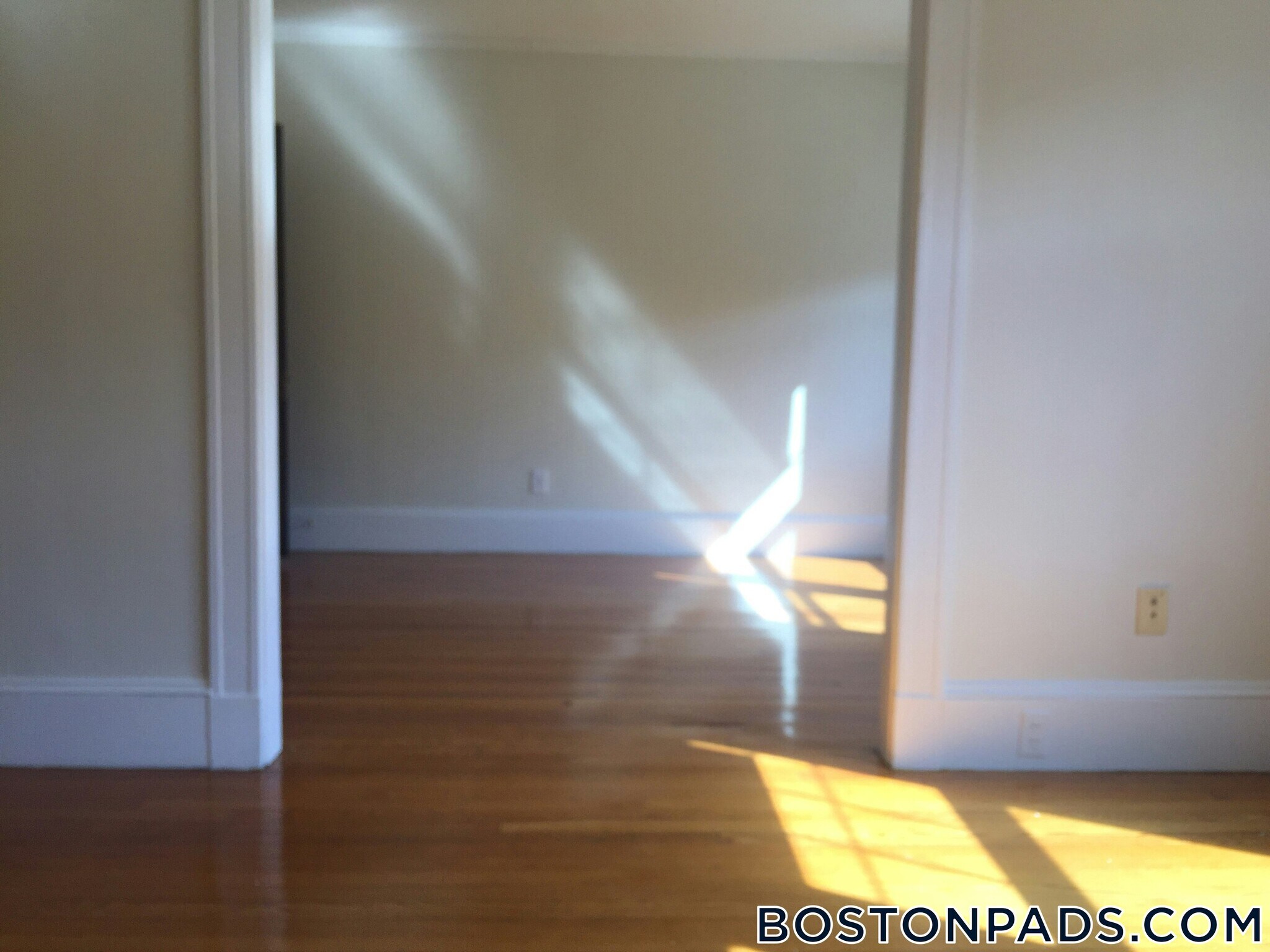 Building Photo - 157 Summer St