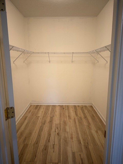 Building Photo - 9415 Magnolia Ridge Dr