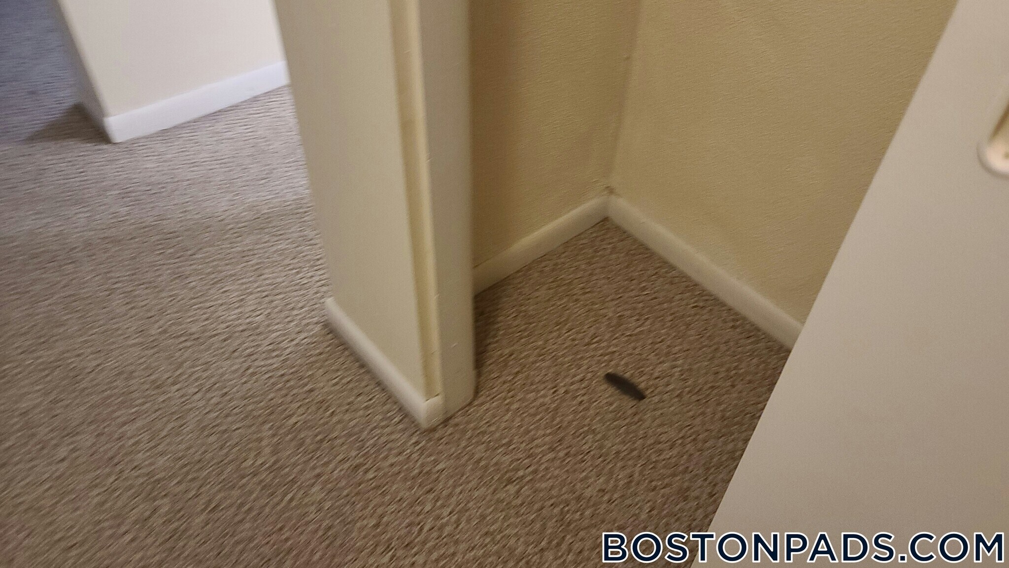 Building Photo - 245 Main St