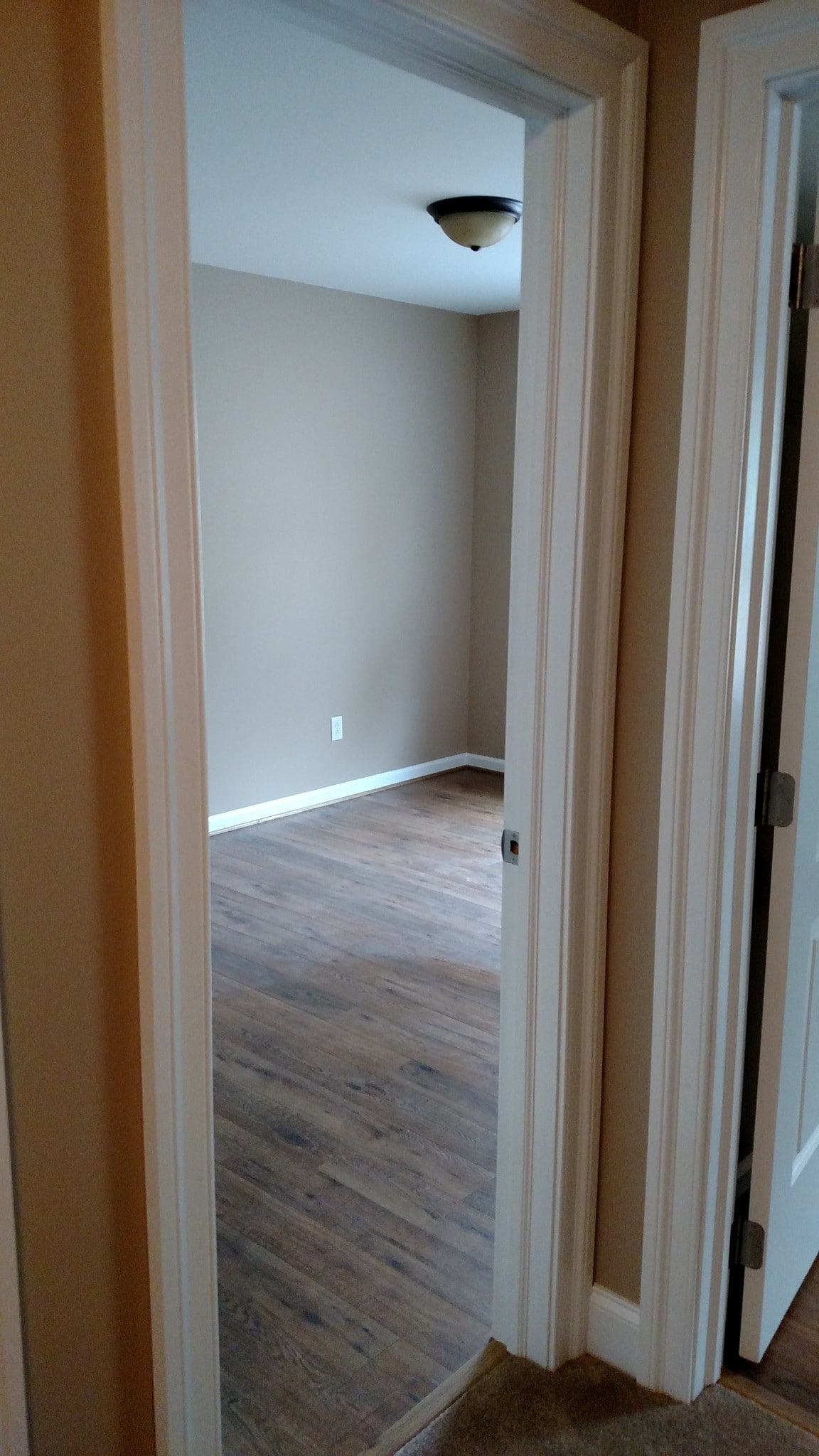 Spare bedroom - 206 Hollow Dr