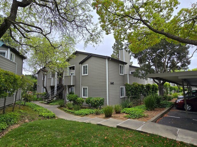 Building Photo - Remodeled Lower Level Condo in Oakland, CA...