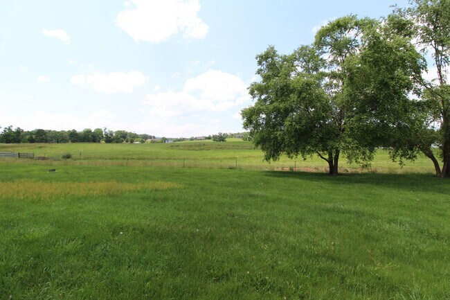 Building Photo - Charming Split-Level Home in Peaceful Coun...