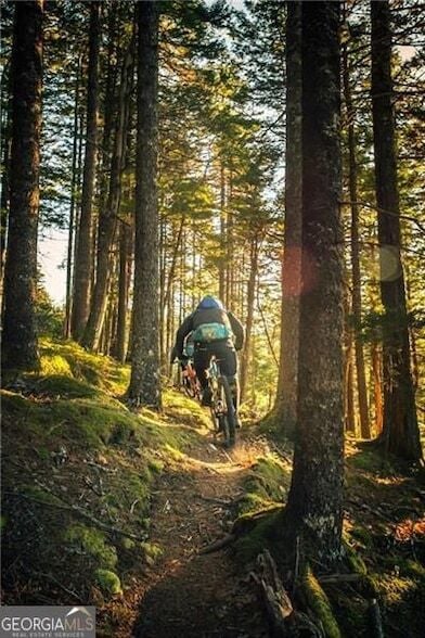 Building Photo - 1028 Riverbend Club Dr SE