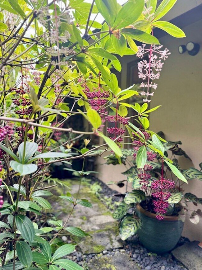 Building Photo - Luxury- Kona Hills Estates : Furnished Exquisite 3-Bedroom, 3.5 Bathroom Retreat