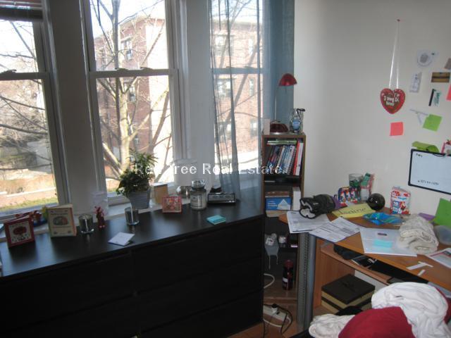 Building Photo - 56 Egmont St