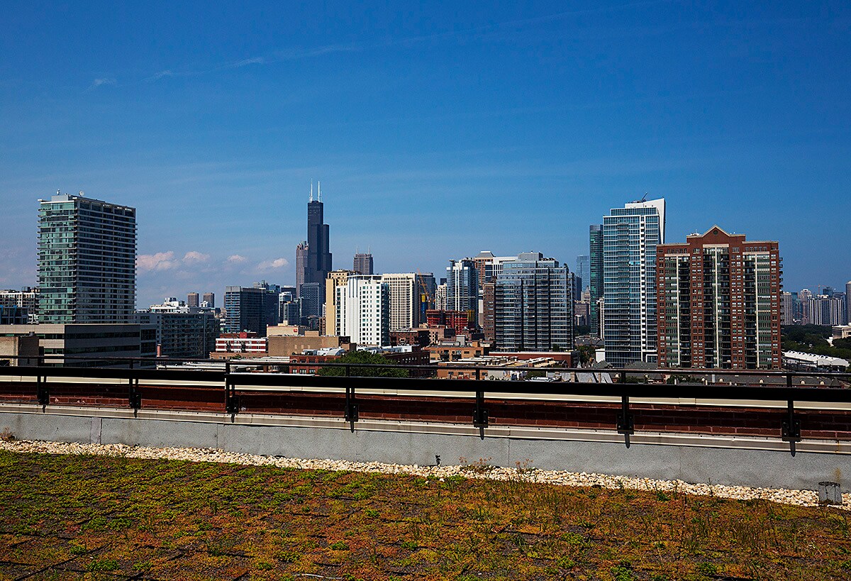 Building Photo - 320 E 21st St