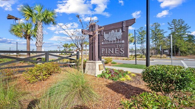 Building Photo - 4 bedroom, 2.5 bathroom 2-story home at The Pines at New Hampstead!! July 2026