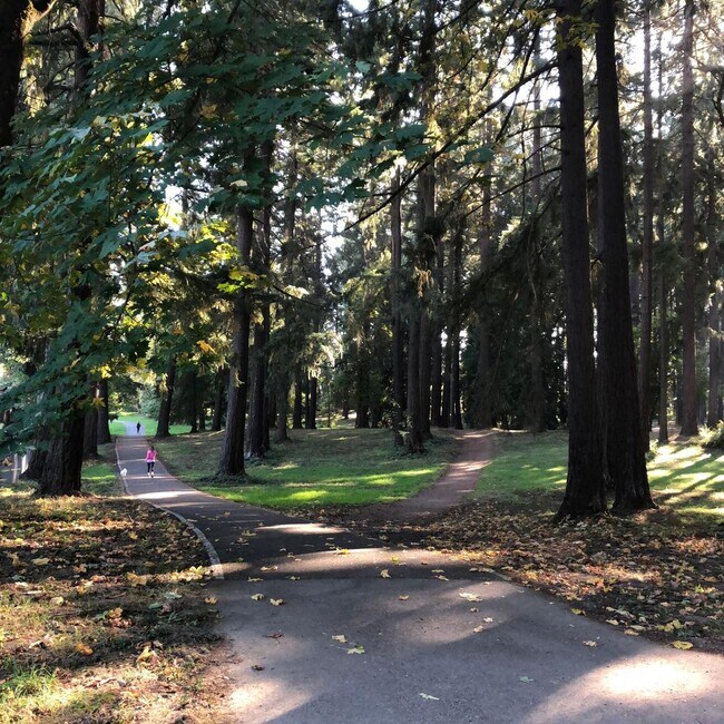 Building Photo - St. Johns 1 bedroom 1 bath in park-like setting.