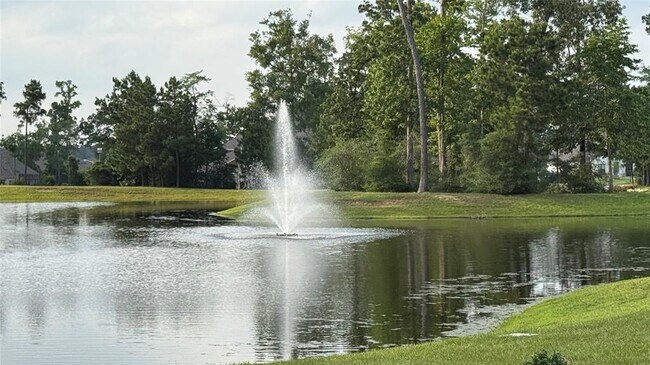 Building Photo - 13909 Payette Arbor Ct