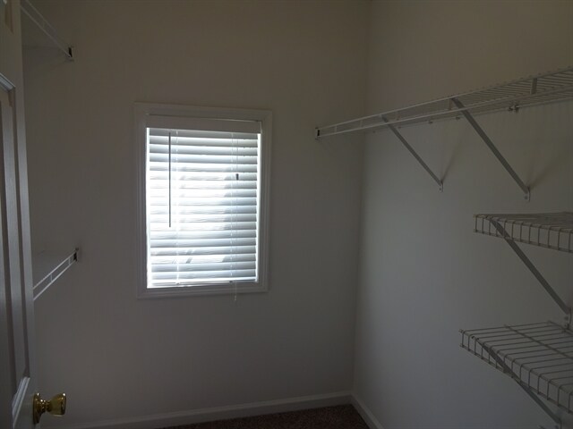 Building Photo - 725 Stellas Pt