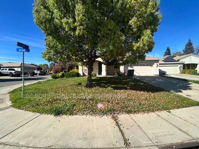 Building Photo - 300 Dedham Ct