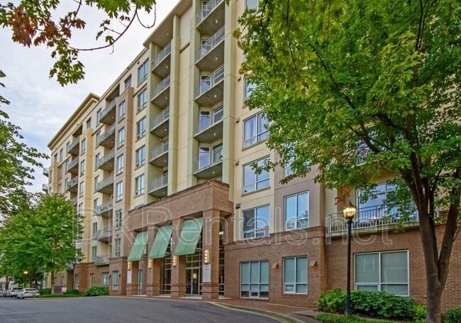 Primary Photo - 711 Cosmopolitan Dr NE