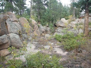 Building Photo - 12345 Bear Haven Rd