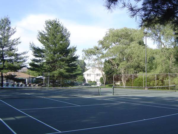 Tennis courts - 10 Village Brook Ln