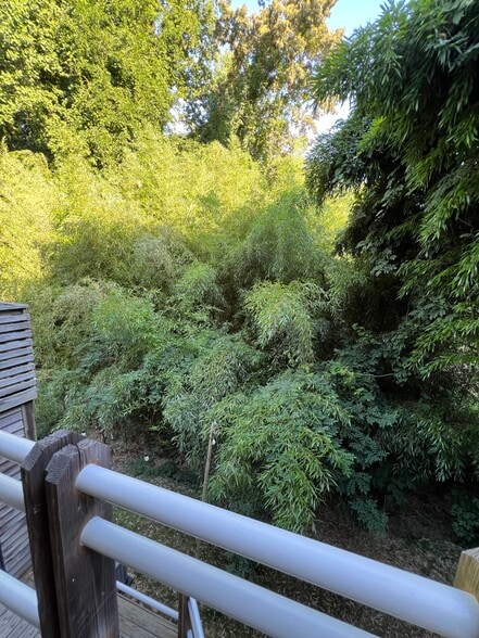 view from bedroom 1 - 130 E Longview St