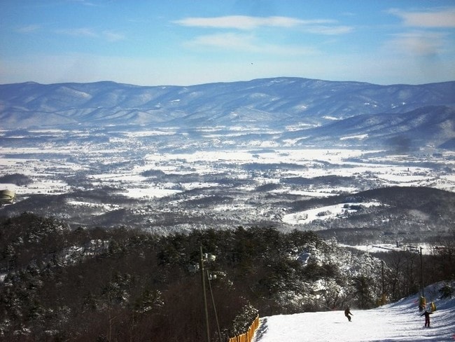 Building Photo - 2829 Hopkins Dr